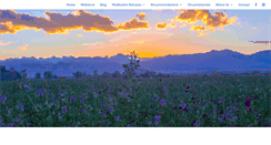Desktop Screenshot of iangawler.com
